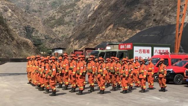 森林防火力爭(zhēng)零火情,手持式金屬探測(cè)器隔絕打火機(jī)入林區(qū)